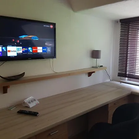 Am Suedpark - Inkl Garten Mit Sitzlounge - Zentrumsnah * Ερφούρτη