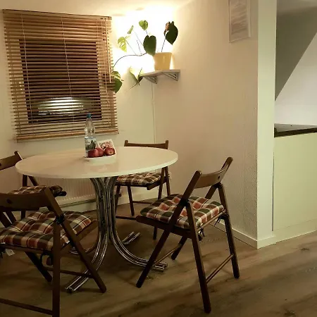Apartman Am Suedpark - Inkl Garten Mit Sitzlounge - Zentrumsnah
