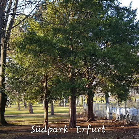 Am Suedpark - Inkl Garten Mit Sitzlounge - Zentrumsnah