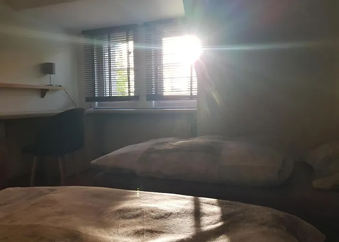 Am Suedpark - Inkl Garten Mit Sitzlounge - Zentrumsnah *