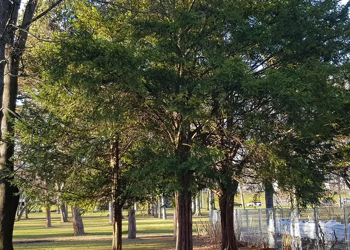 Am Suedpark - Inkl Garten Mit Sitzlounge - Zentrumsnah